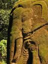 Another great rock elephant.